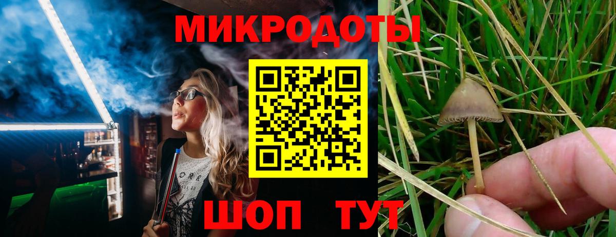 Химки  Галлюциногенные грибы MAGIC MUSHROOMS  Вход с VPN 